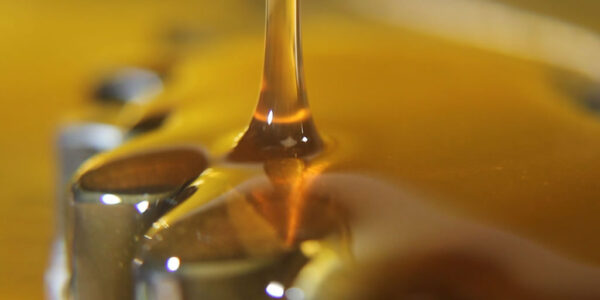 cannabis honey oil