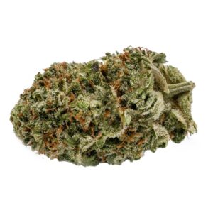 cannabis-ocs-blueberry-kush