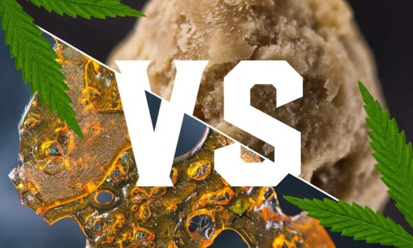 shatter vs wax whats the difference