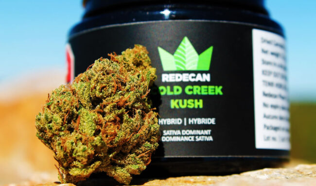 cold-creek-kush-strain