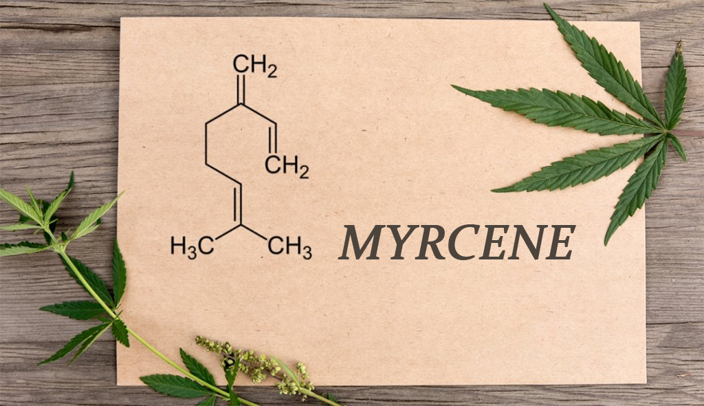 myrcene banner