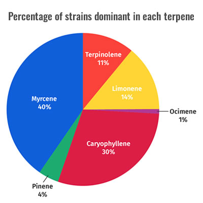 terpene chart