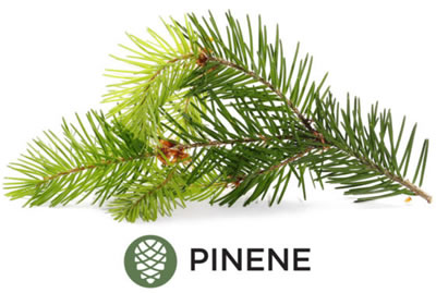 pinene weed