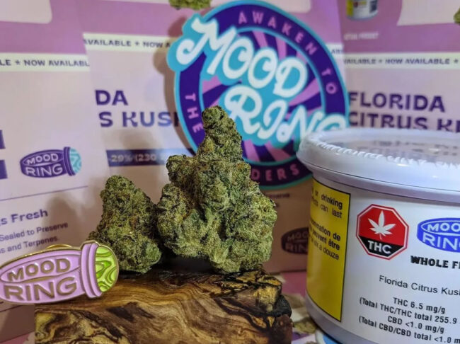 florida citrus kush strain