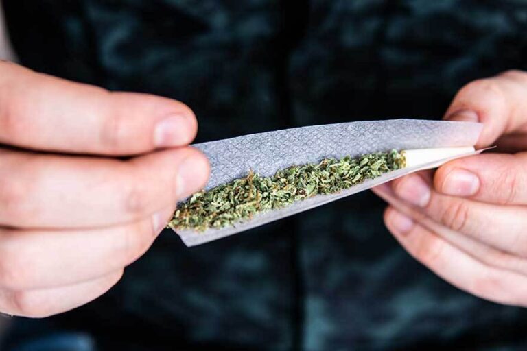 cannabis rolling papers