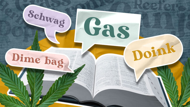 cannabis slang words