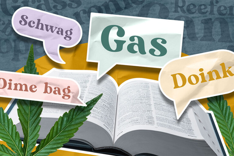 cannabis slang words