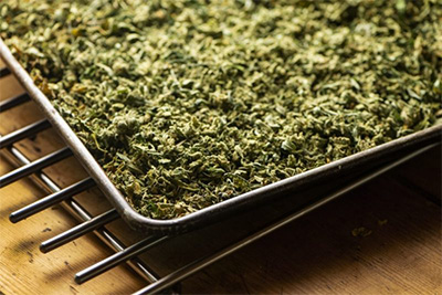 decarboxylating cannabis