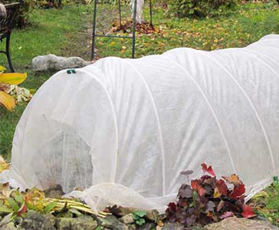 floating row covers for cannabis plants