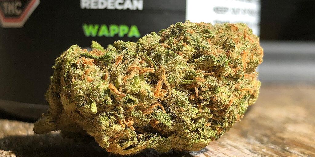 wappa cannabis flower