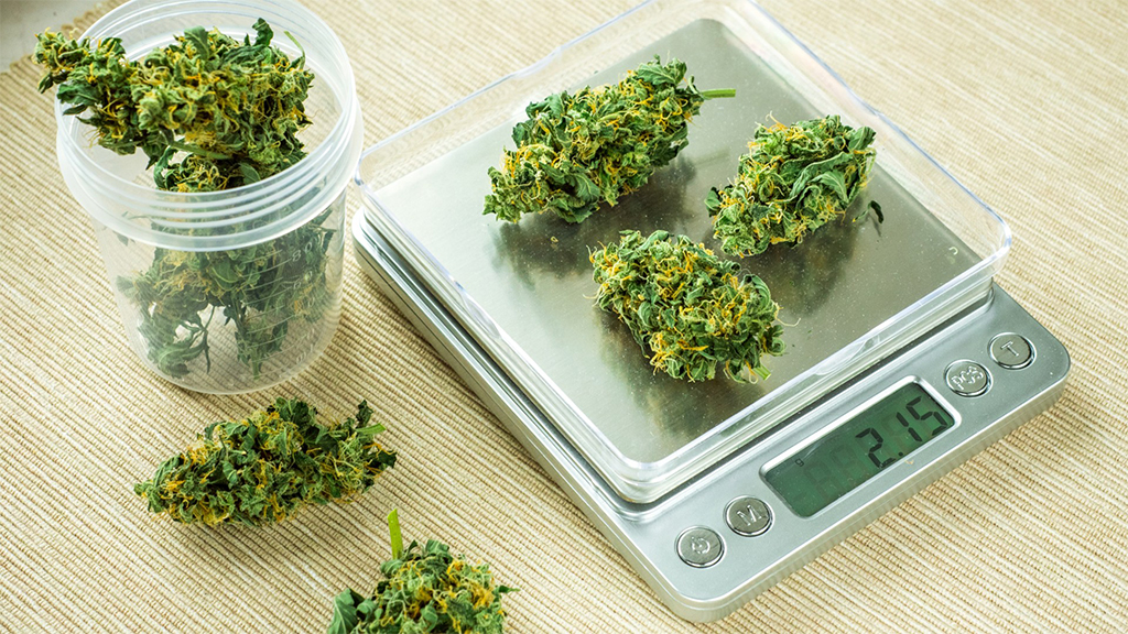 cannabis weight scale