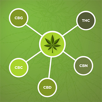 cannabinoids