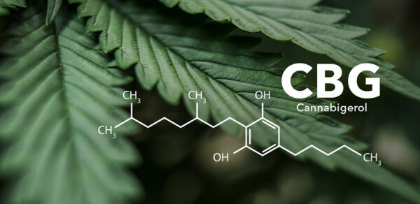 cbg cannabinoid