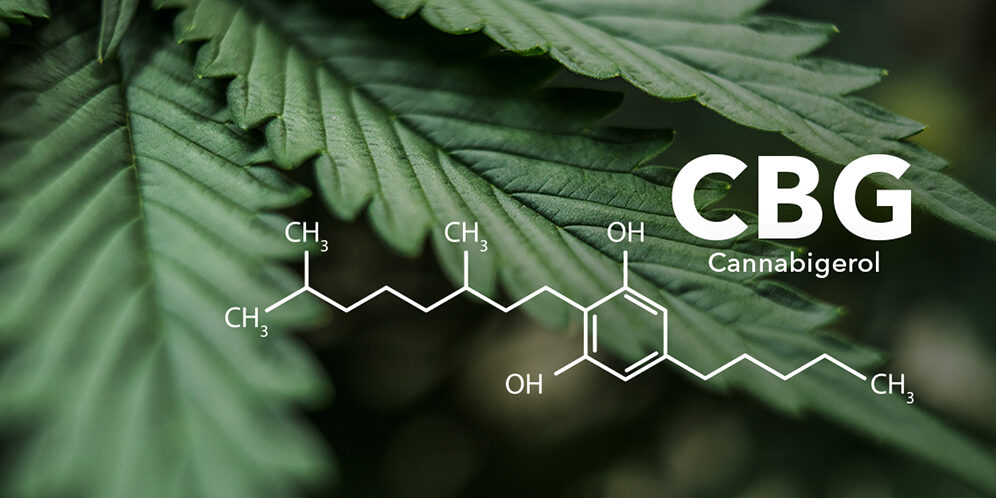 cbg-cannabinoid cbg cannabinoid