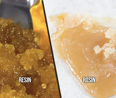 live resin vs live rosin