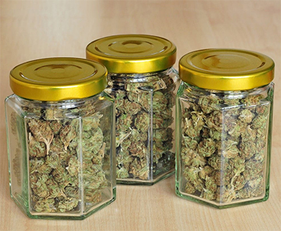 cannabis in mason jars