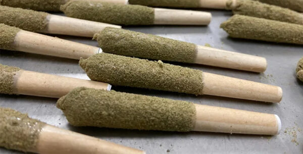 infused pre rolls