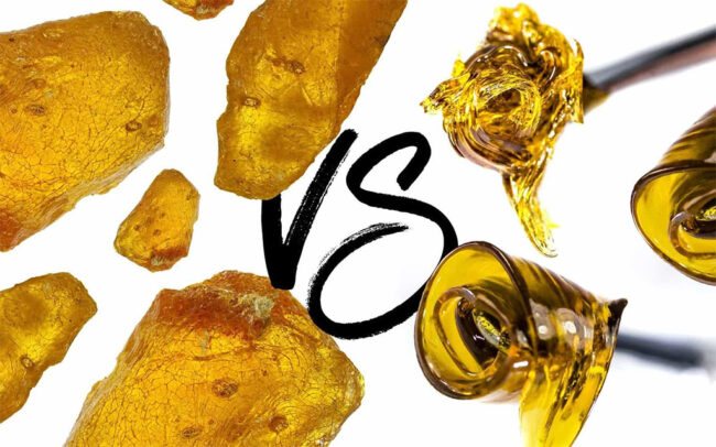 live-resin-vs-live-rosin-vs-distillate live resin vs live rosin vs distillate