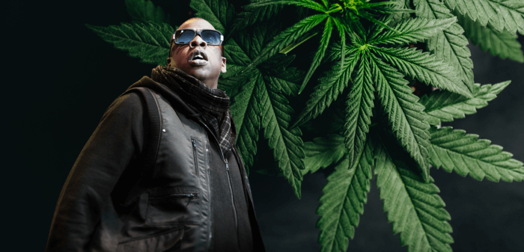 jayz with cannabis plant