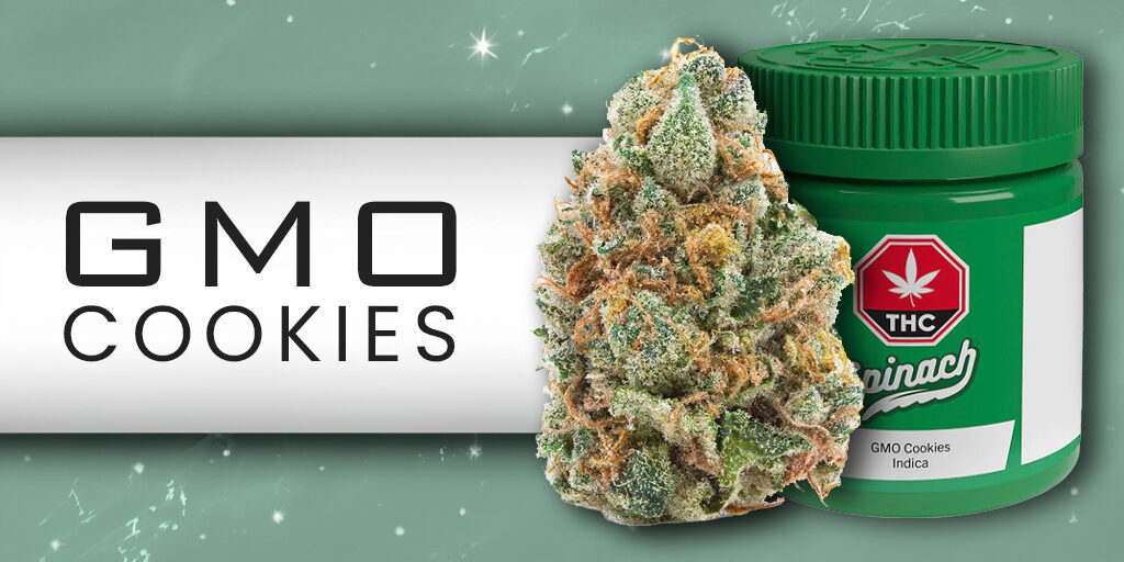 GMO Cookies Review