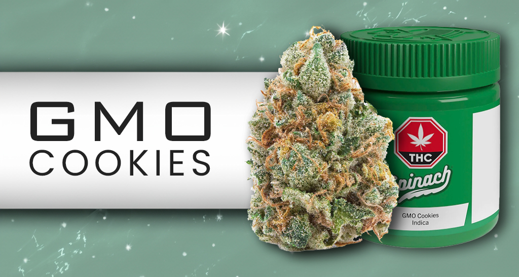 GMO Cookies Review