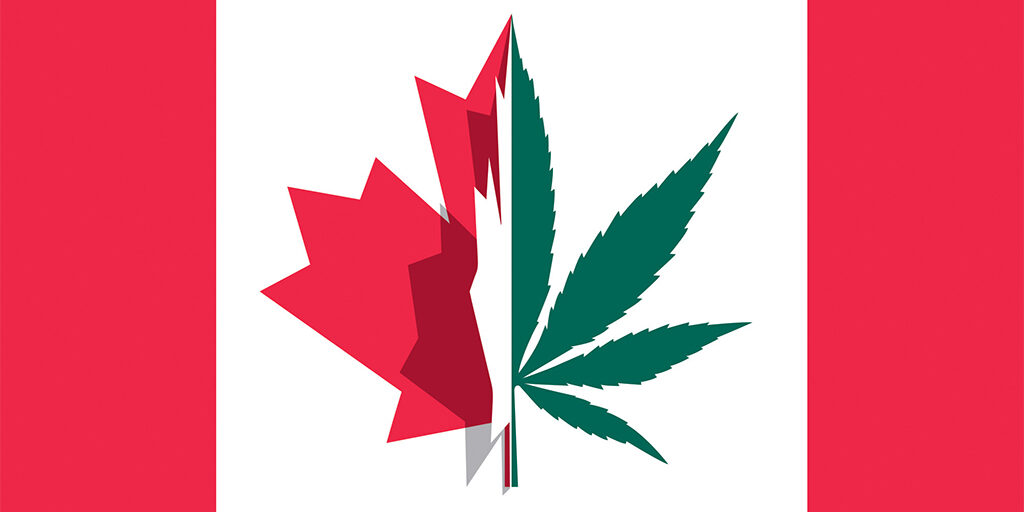 canadian flag with cannabis leaf
