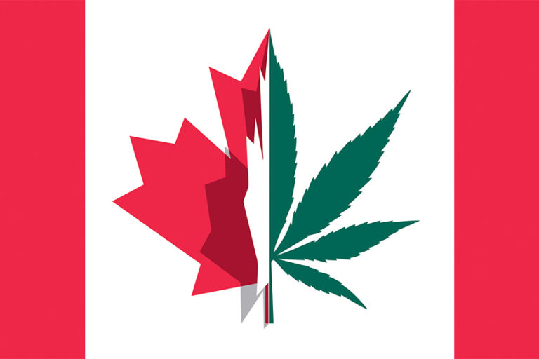 canadian flag with cannabis leaf