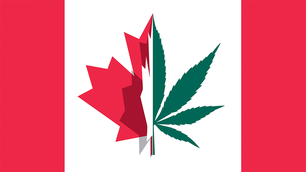 canadian flag with cannabis leaf