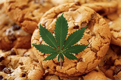 cannabis edible cookies