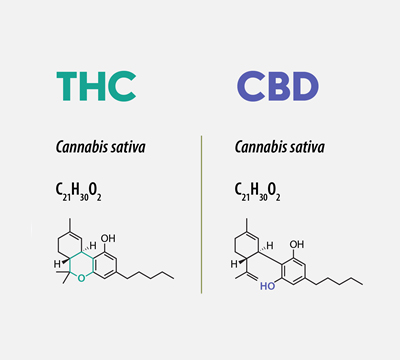 thc and cbd chemical structures