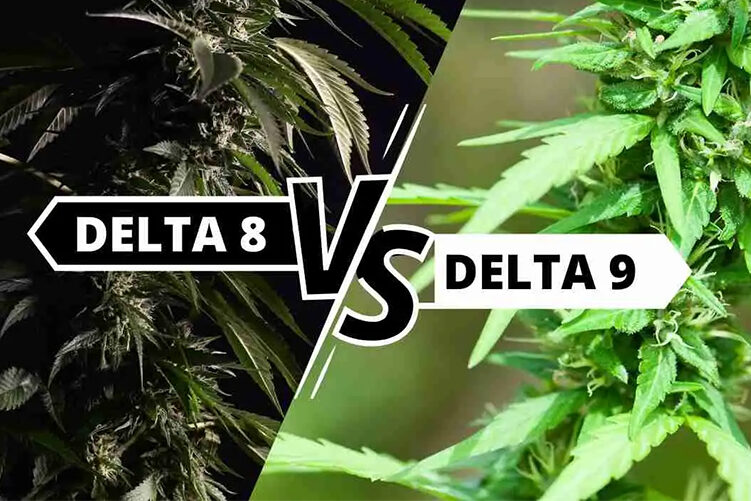 delta 8 thc vs. delta 9 thc