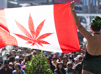 canada flag with cannabis leaf