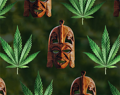 cannabis history in africa