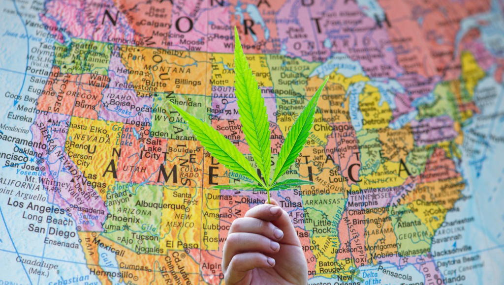 cannabis leaf with map