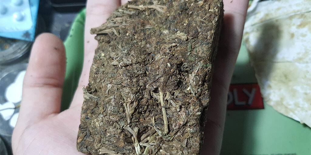 brick weed
