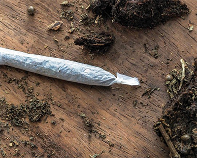 brick weed rolled into joint