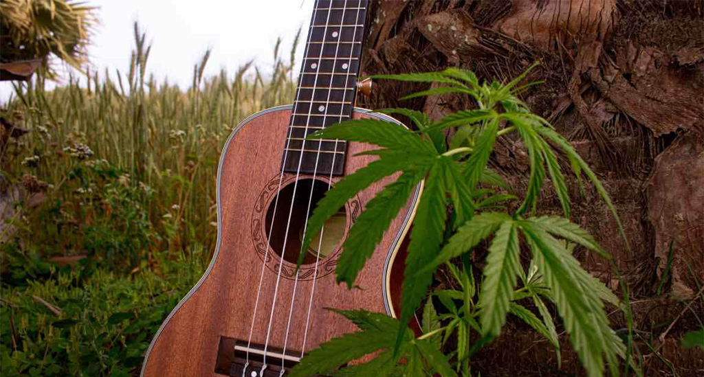 guitar with cannabis plant