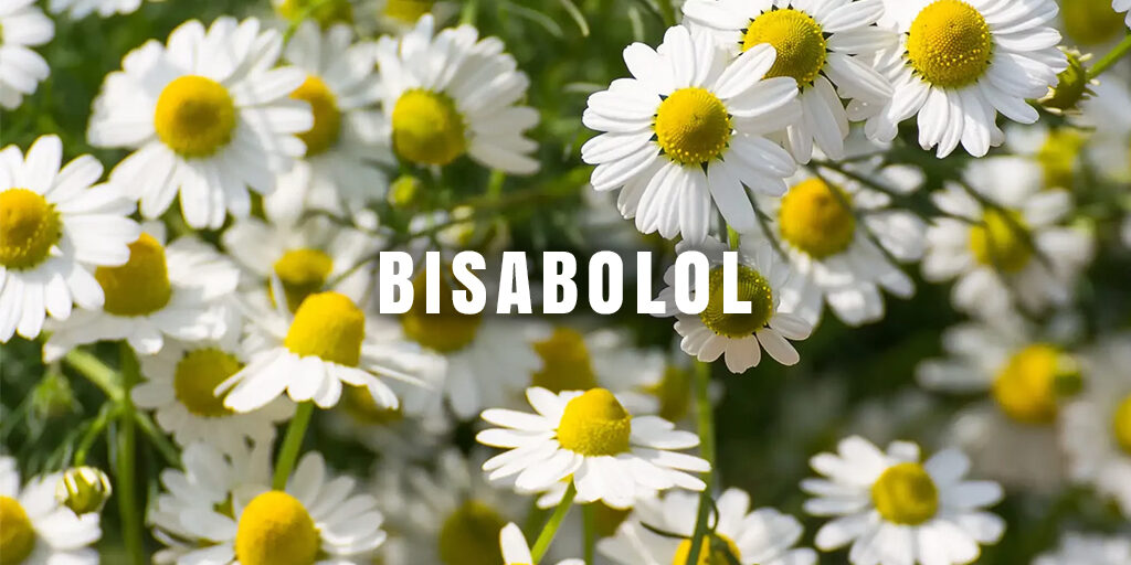 Bisobolol-Terpene-Flowers Bisobolol Terpene Flowers