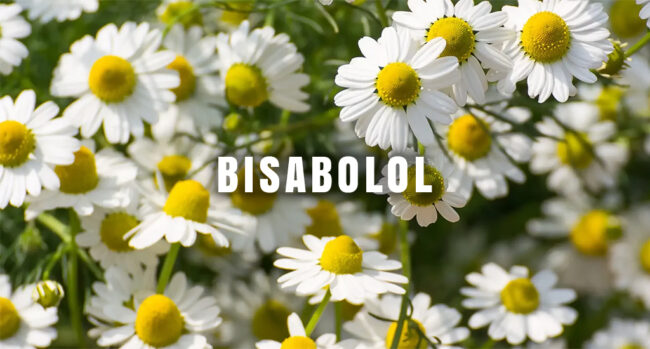 Bisobolol-Terpene-Flowers Bisobolol Terpene Flowers