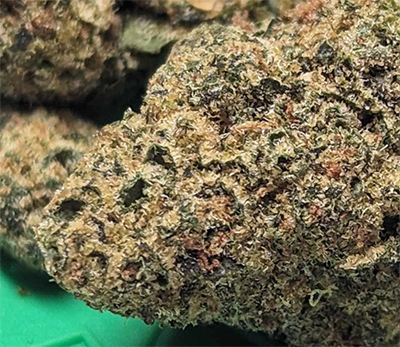 spinach peanut butter breath cannabis flower close up