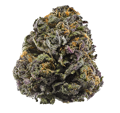 granddaddy purple cannabis strain