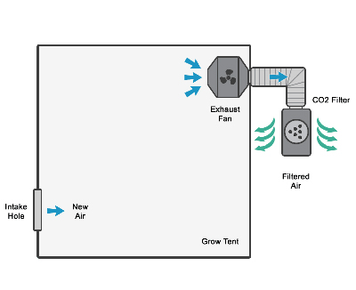 cannabis grow ventilation