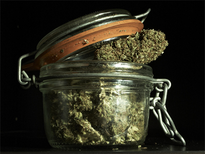 cannabis in glass jar