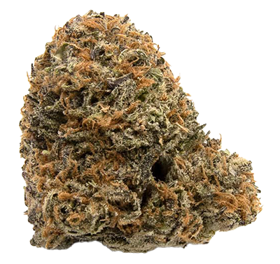 afghan kush cannabis strain