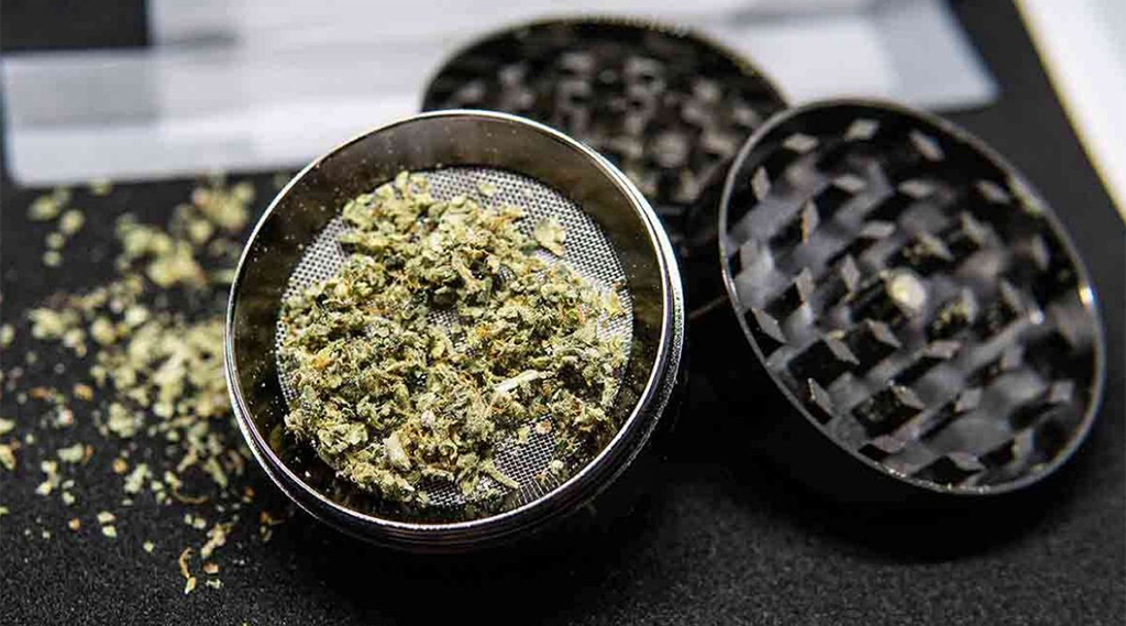 grinder with cannabis in it