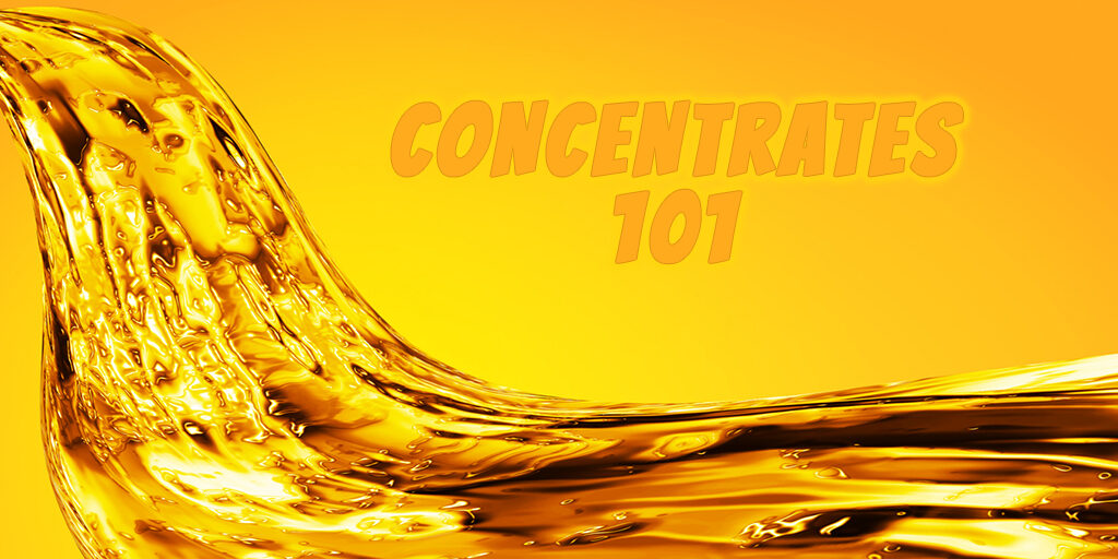 cannabis-concentrates-101-banner cannabis concentrates 101 banner