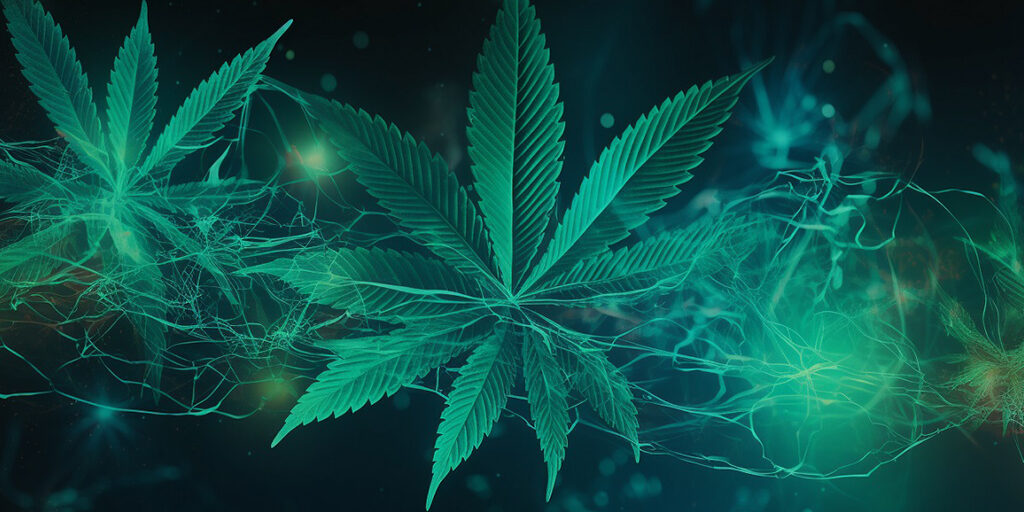 cannabis-leaf-with-strands cannabis leaf with strands