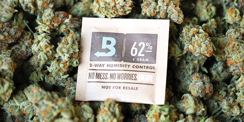 cannabis-humidity-pack cannabis humidity pack