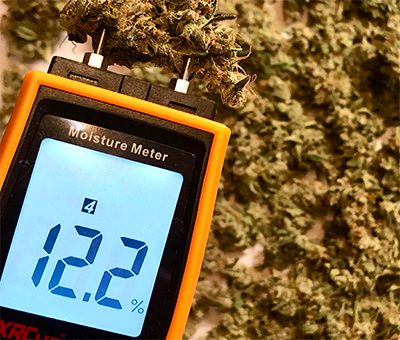 moisture meter reading for cannabis