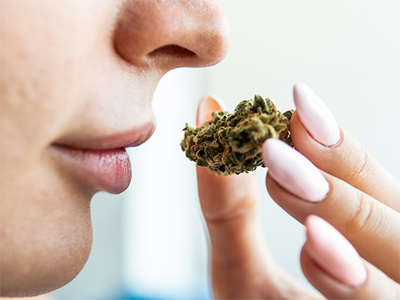 woman smelling cannabis bud